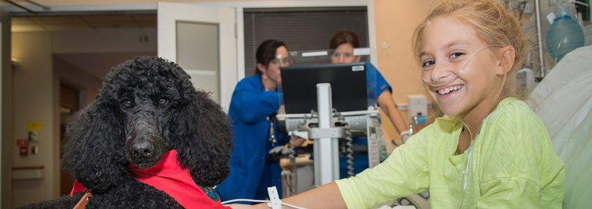 Animal Assisted Therapy Beaumont Health