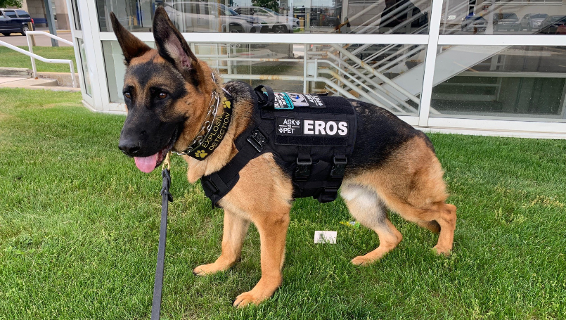 Paws and meet our new K 9 at Beaumont Royal Oak Beaumont Health